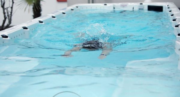 Spa бассейн Whirlcare Swim Spa Edition Wellpower (Германия), 592x232x160 см