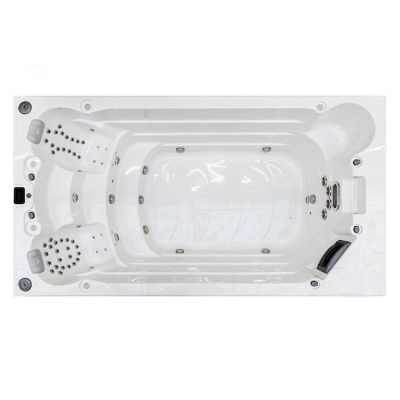 Spa басейн Whirlcare Swim Spa Edition SURFER (Німеччина), 432x233x150 см