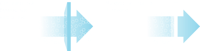 система Purezone